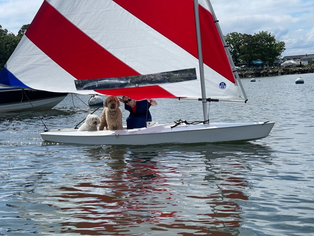 fulcrum ufo foiling sailboat